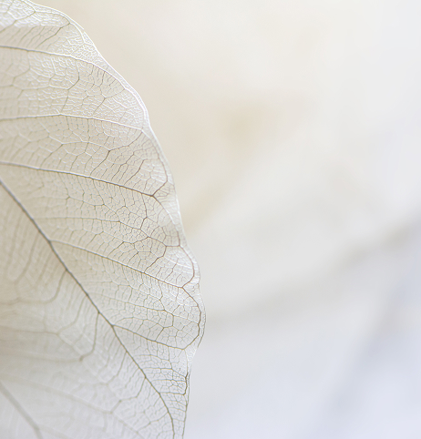 Medicina_Estetica_Murcia